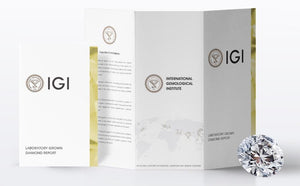 Timeless Lab Grown Diamond Dangle Earrings | IGI Certified | Silver, Gold