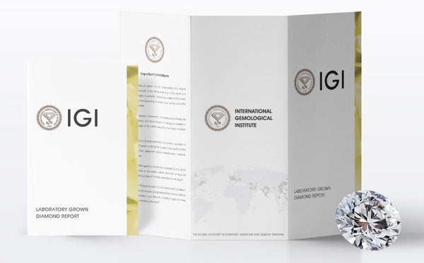 Timeless Lab Grown Diamond Dangle Earrings | IGI Certified | Silver, Gold